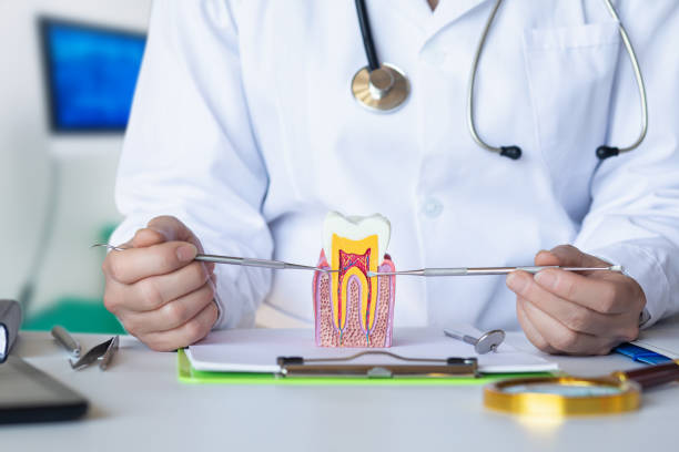 Best Emergency Dentist for Lost Fillings or Crowns in South Rockwood, MI